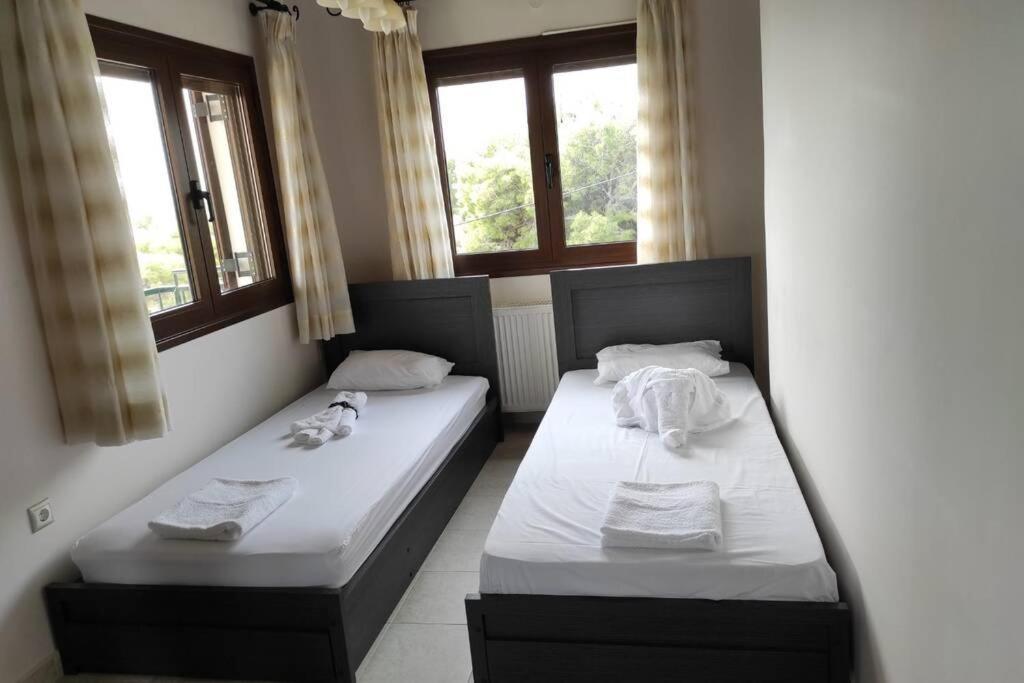 Artemis Penthouse 10 Minute From National Airport Villa Eksteriør bilde