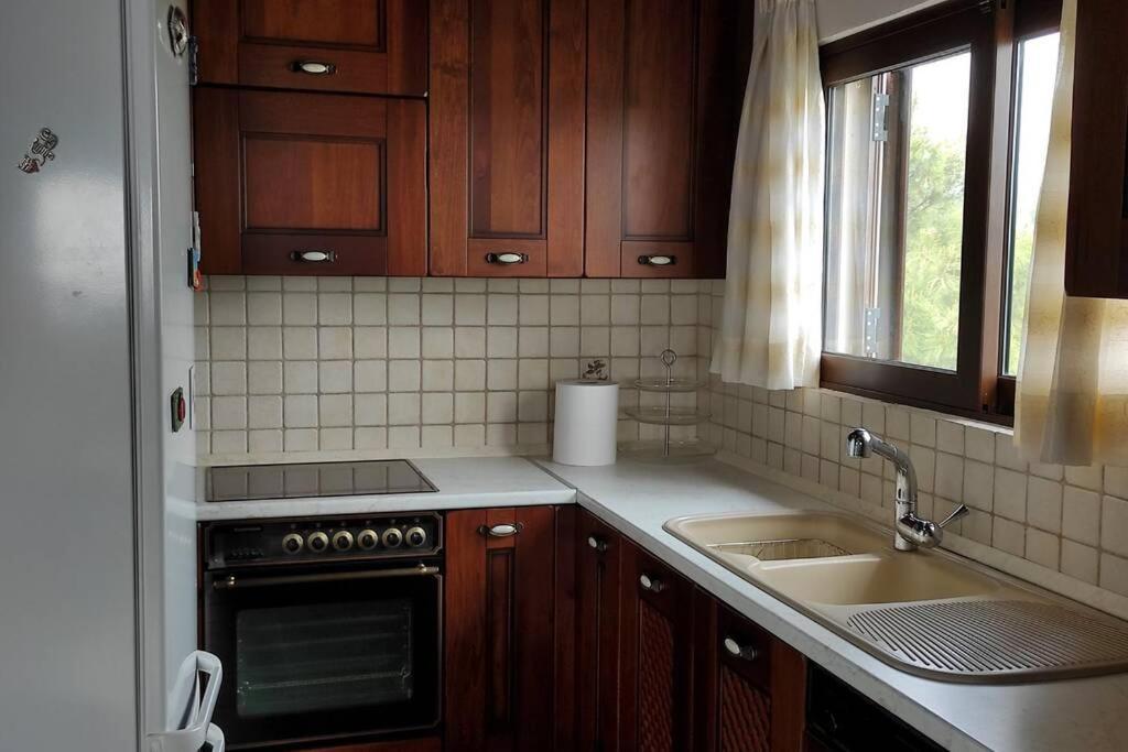 Artemis Penthouse 10 Minute From National Airport Villa Eksteriør bilde
